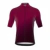 Bioracer Maillot Cycliste - Rouge - Hommes - Icon Classic Smooth